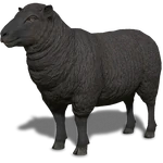FS19 Animal-SheepBlack.png