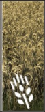Barley icon.png