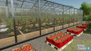 FS22-Greenhouse5