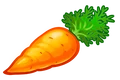 FOOD CARROTS
