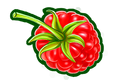 FOOD RASPBERRY