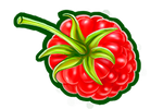 FOOD RASPBERRY.png