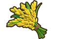 FOOD RICE