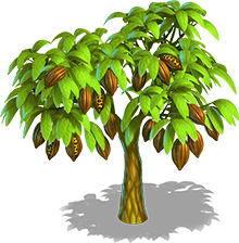 Cocoa tree 3.png