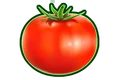 FOOD TOMATO