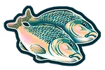 FOOD FISH