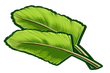 RC LEAF