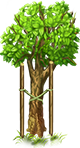 Tree small.png