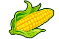 FOOD CORN