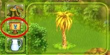 Droge boom.jpg