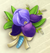 Petit bouquet d'iris de Crimée.png