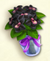 Bouquet d'orchidées noires.png
