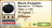 Black Pumpkin (crop) Market Info (October 2012)