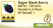 Super Blackberries Locked in Market