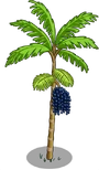 Acai2-icon