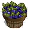 Eggplant Bushel