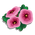 Hollyhocks-icon