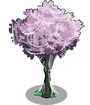 Plum3-icon