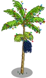 Acai6-icon