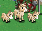 Cream Mini Horse