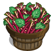 Rhubarb Bushel