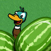 Bumper Watermelon.jpg