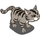 Grey Tabby