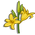 Daylily-icon