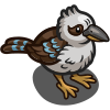 Kookaburra