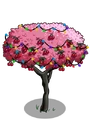 Cherry6-icon