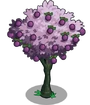 Plum2-icon