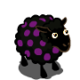 Dotted Ewe