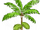 Acai Tree3-icon.png