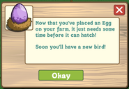 Rare Purple Aviary Egg Found Message