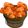 Orange Daisies Bushel