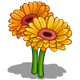 Gerberas-icon