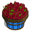 Cherry Bushel-icon