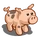 Ossabaw Pig