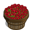 Raspberries Bushel