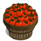 Tomatoes Bushel-icon