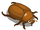 Bugs Beetle-icon.png