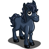 Black Steed Foal-icon