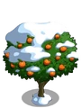 Orange8-icon