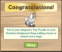 Sunshine Doghouse Finished Reward