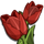 Red Tulips-icon