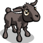 Brownish Gray Lamb (#776864)