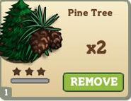 Pine Tree Mastery