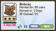 Bobcat Market Info (Re-Release 2012)