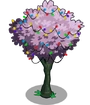 Plum5-icon