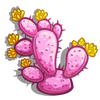 Prickly Pear (crop)